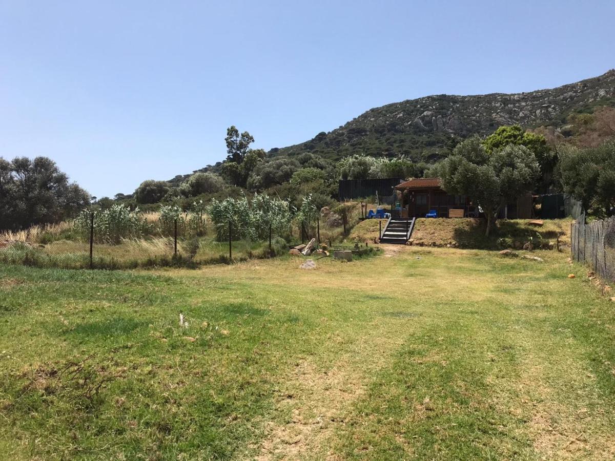 Rustic Cabin Tarifa 4 Guests 10 Minutes To Beach Exterior foto