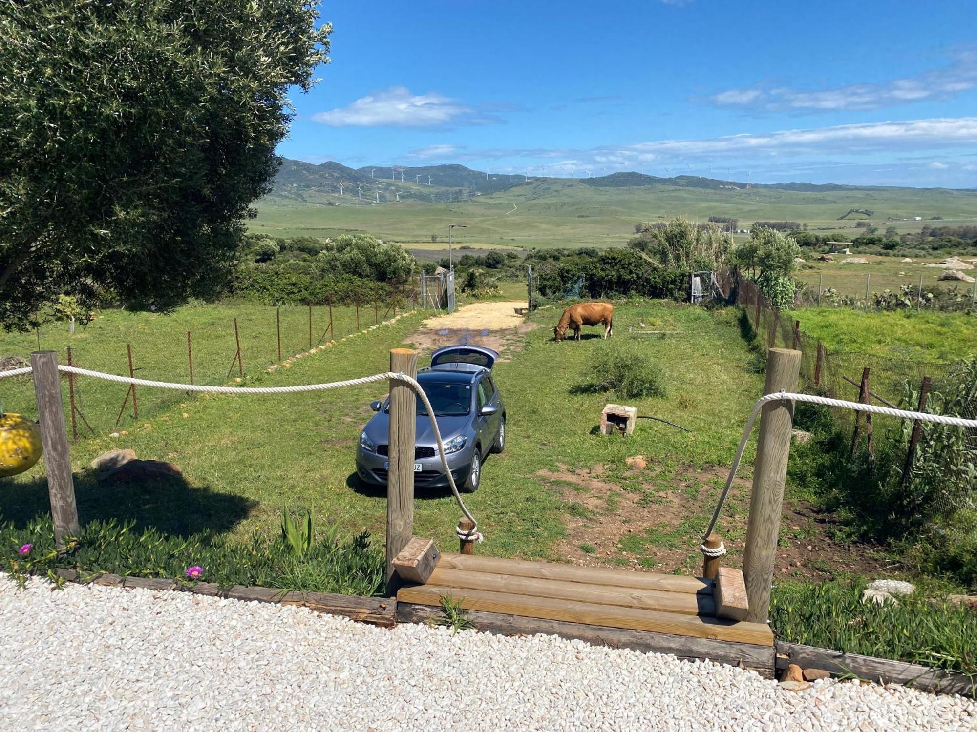 Rustic Cabin Tarifa 4 Guests 10 Minutes To Beach Exterior foto